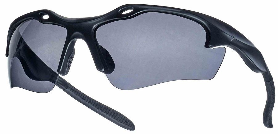 Tector 41978 GIRO Safety goggles polarized glasses grey