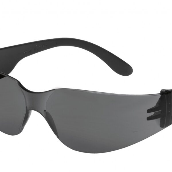 Tector 41982 CHAMP protective glasses black-grey EN166
