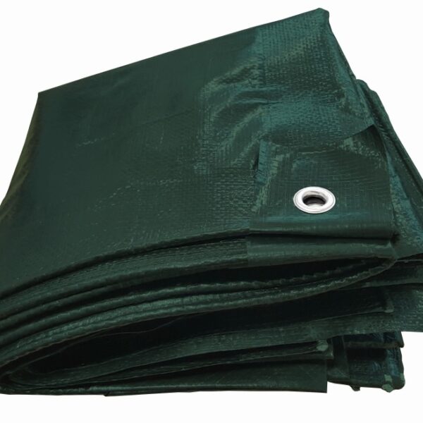 Tector 84323/2030 Green PE-Tarpaulin, 90g/m²,  2x3m