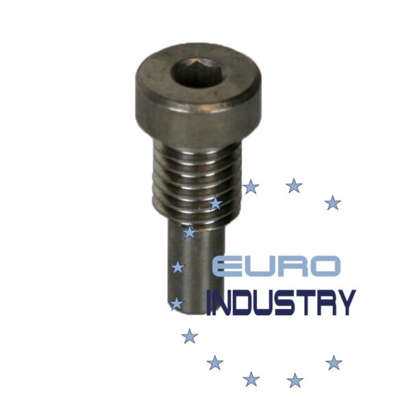 Flex 414.255 Screw GE 5 / WST 700