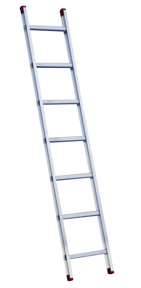 Rise-Tec® 8006 1-part leaning rung ladder max. 2.10 m