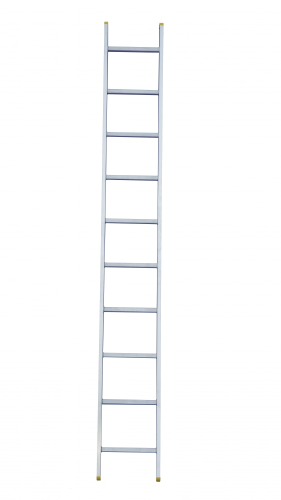 Rise-Tec® 8007 1-part leaning rung ladder max. 3.60 m