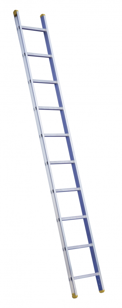 Rise-Tec® 8007 1-part leaning rung ladder max. 3.30 m
