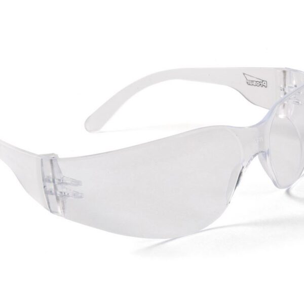 Prosur EVAMED Protective goggle clear EN166, EN170